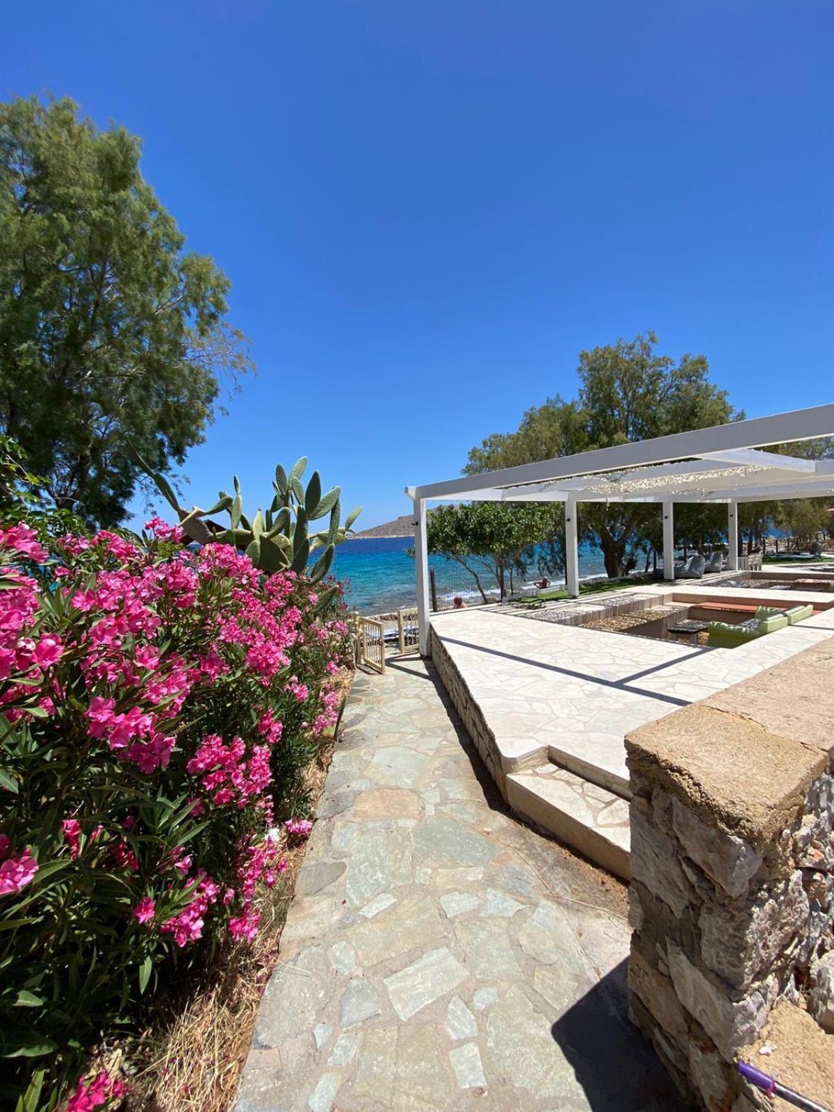 Villa Aristoteles Chalki Town المظهر الخارجي الصورة